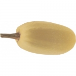 Vermicelli F1