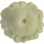 Green Patti (Bennings Gr.)