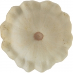 Patisson blanc von Christine H. (Dienstag, 09. Februar 2021