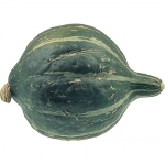 Green Hubbard