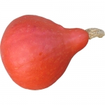 Boston Marrow