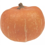 Mooregold