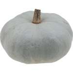 Bleu de Hongrie