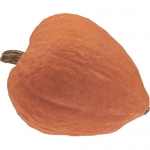 Golden Delicious