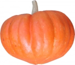 Boliviana