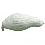 Sibley