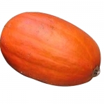 Potiron d Alencon