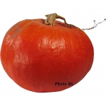 Hopi Orange par Emmanuel A. (mercredi 12 janvier, 2011