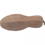 Violina (ital. Butternut) BIO