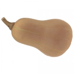 Butternut Ponca