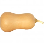 Betternut  401  F1