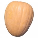 Dickenson