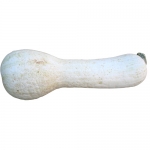 Cushaw White