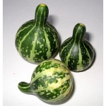 Dancing or Spining Gourd
