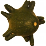 Yugoslavian Fingers Green