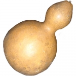 Flaschenkuerbis riesig
