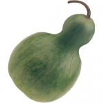 Flaschenkuerbis midi
