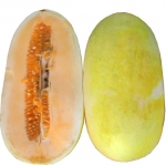 Melon Voatango
