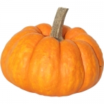 Crunchkin
