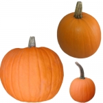 Halloween-Kürbisse