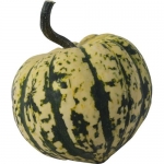 Harlekin F1