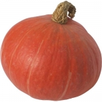 Justynka F1