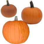 KCB Halloween Mischung