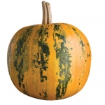 Kakai