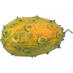 Kiwano  (Zackengurken)