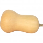 Waltham Butternut BIO