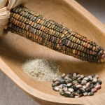 Earth Tones Dent