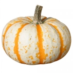 Mini & Spezial-Halloween