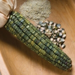 Oaxacan Green