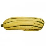 Delicata JS