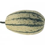 Stripetti F1
