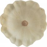 Patisson blanc