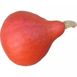 Boston Marrow
