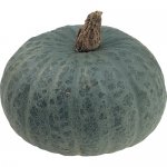 Blue Kuri (Houka Seiguri)