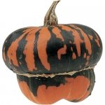 Aladdins Turban
