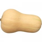 Butterscotch F1 BIO
