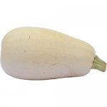 Lebanese White Bush
